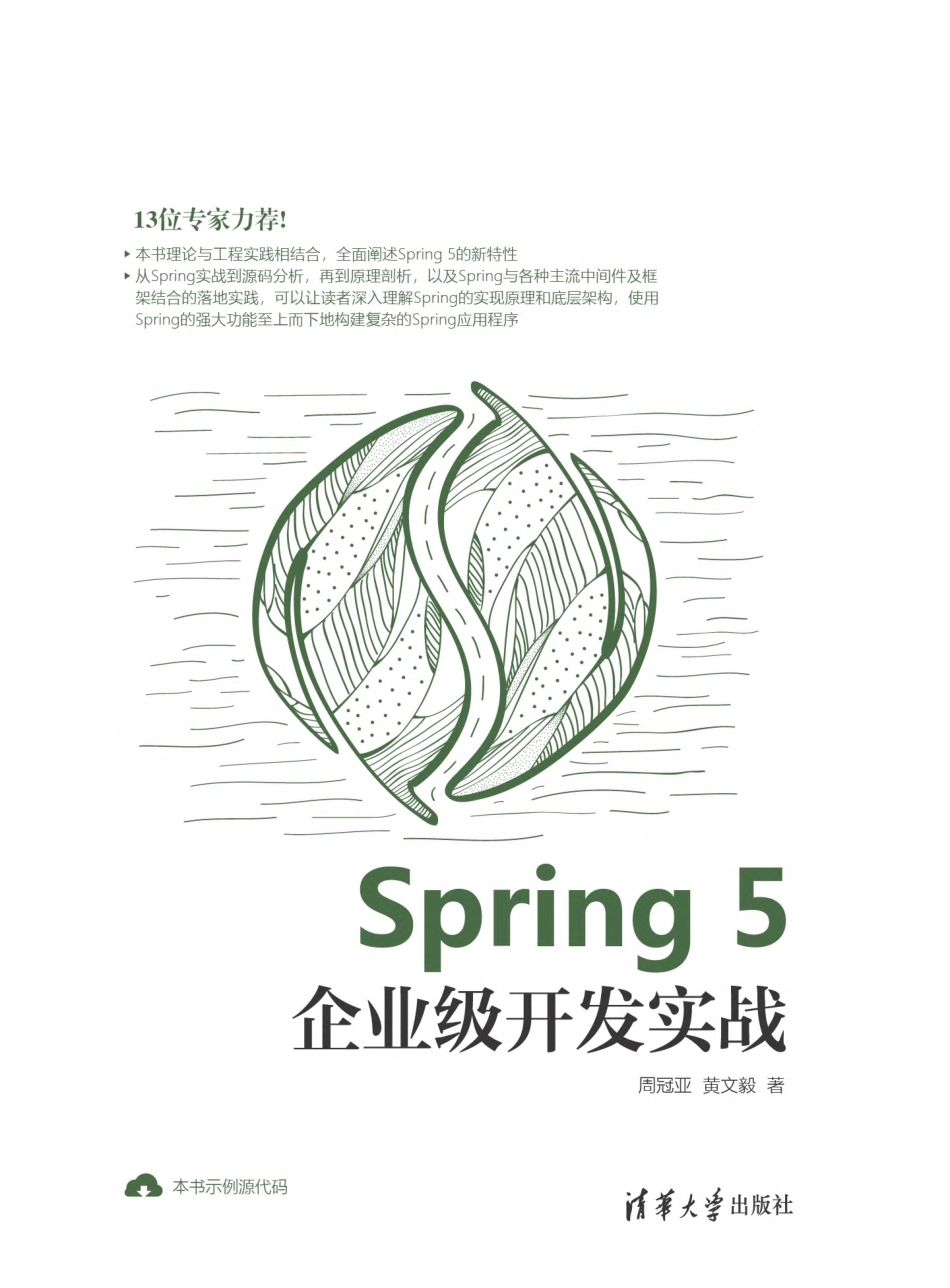 Spring 5企业级开发实战.pdf_第1页