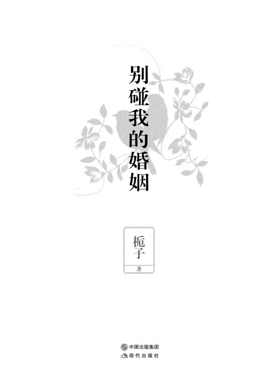 别碰我的婚姻.pdf_第3页