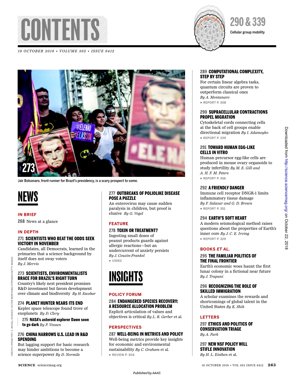 Science 2018-10-19.pdf_第2页