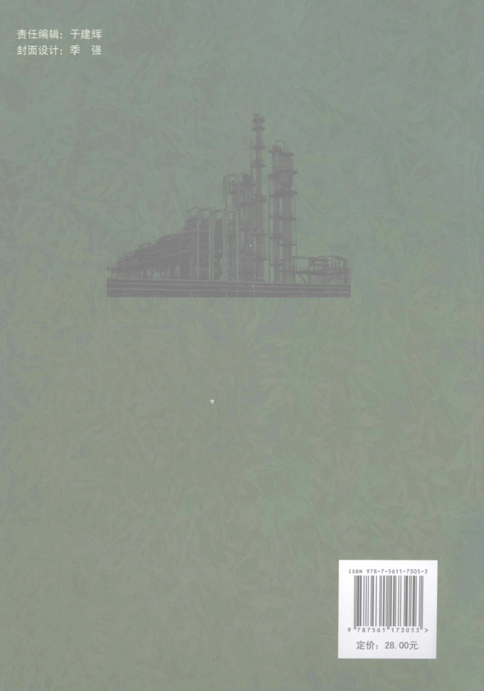 化工设计 [齐济 主编] 2012年.pdf_第2页