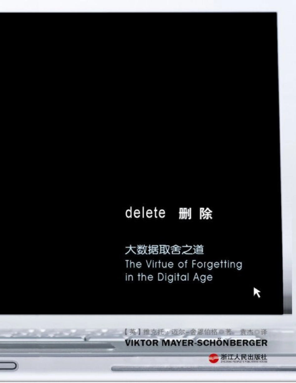 删除：大数据取舍之道 维克托·迈尔 .pdf_第1页