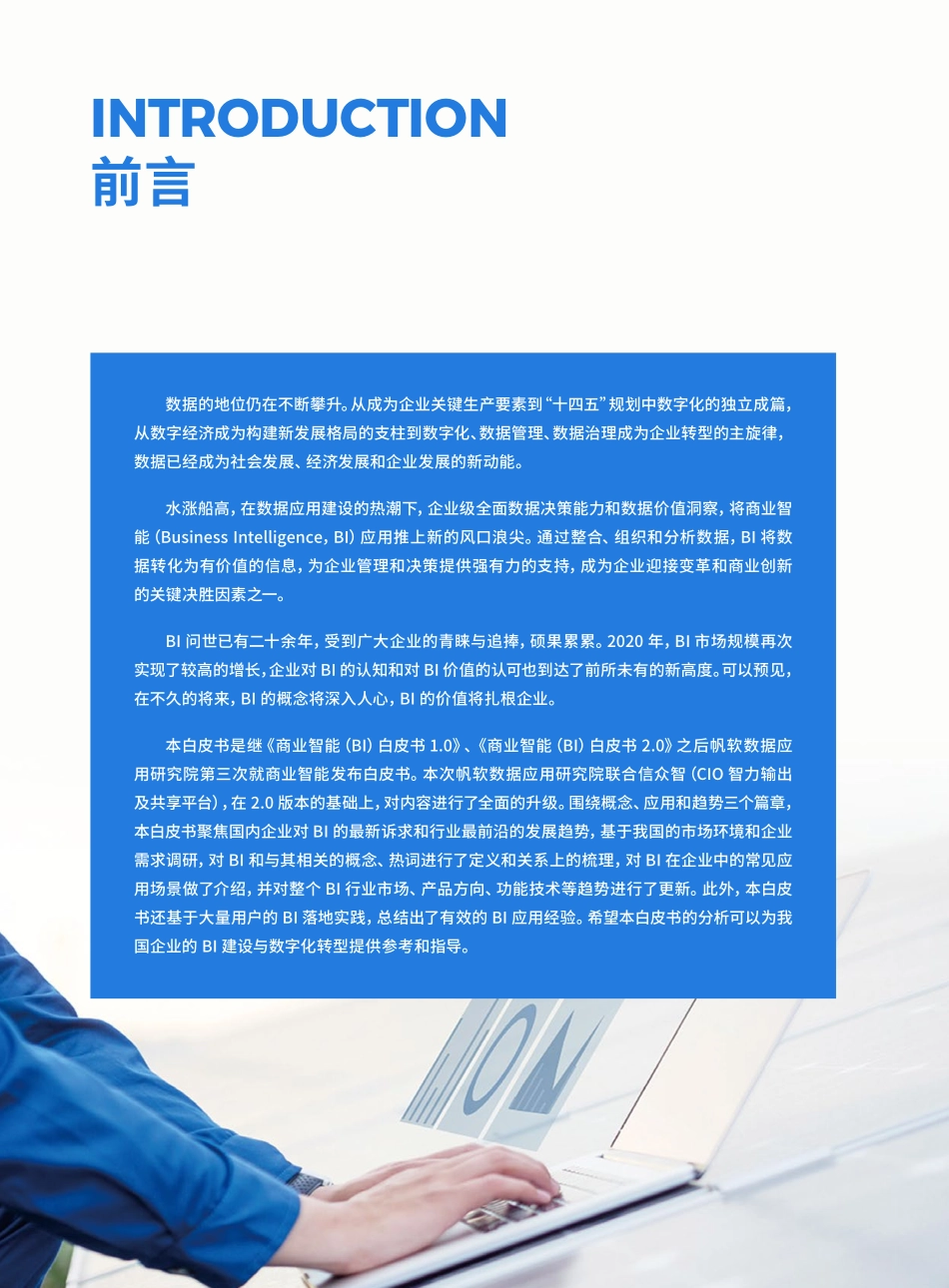 商业智能（BI）白皮书3.0.pdf_第2页