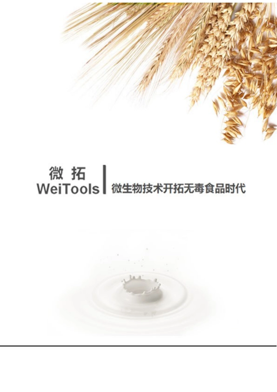 微拓生物技术有限公司商业计划书-最终格式修改.docx_第2页