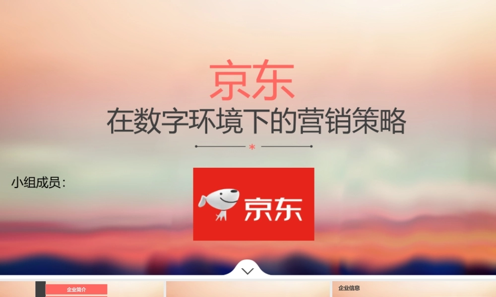 PPT模板之京东介绍中文版.pptx