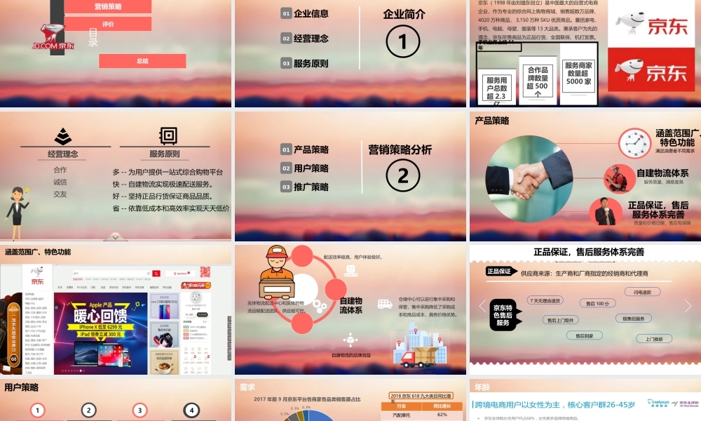 PPT模板之京东介绍中文版.pptx