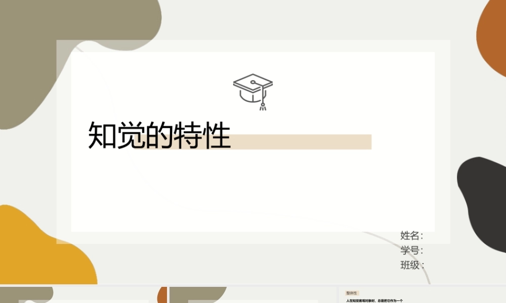 PPT模板之知觉的特性.pptx
