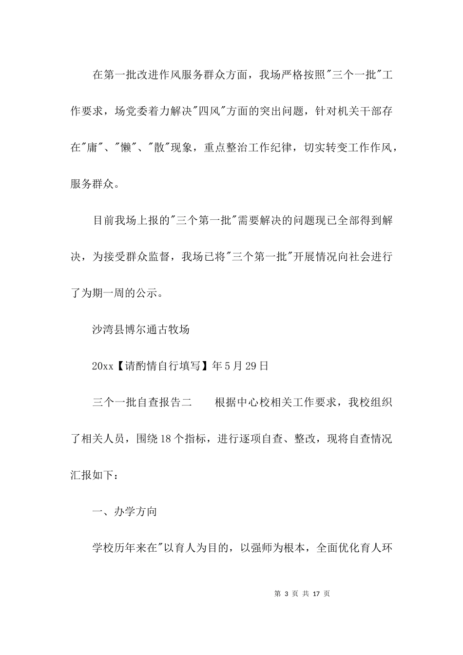 三个一批自查报告.docx_第3页