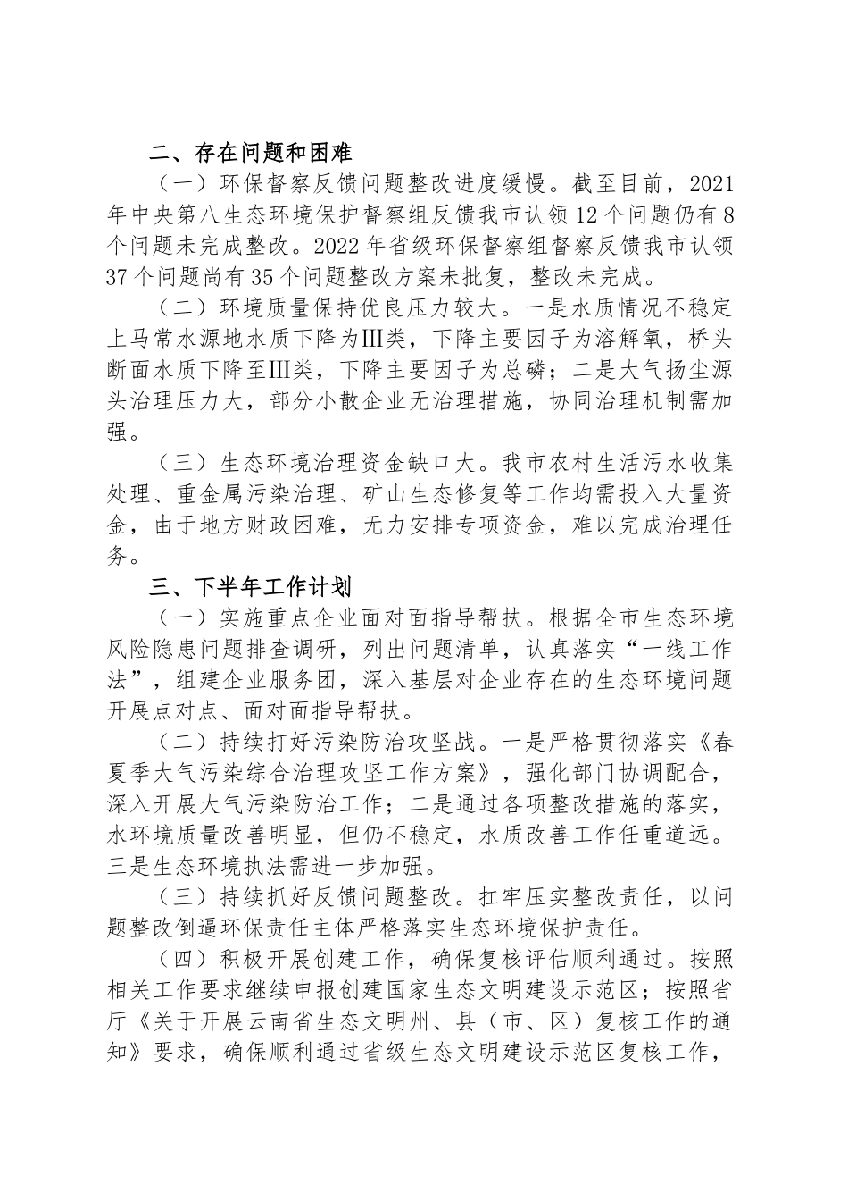 市生态环境局分局2024上半年工作总结和下半年工作计划 .docx_第2页