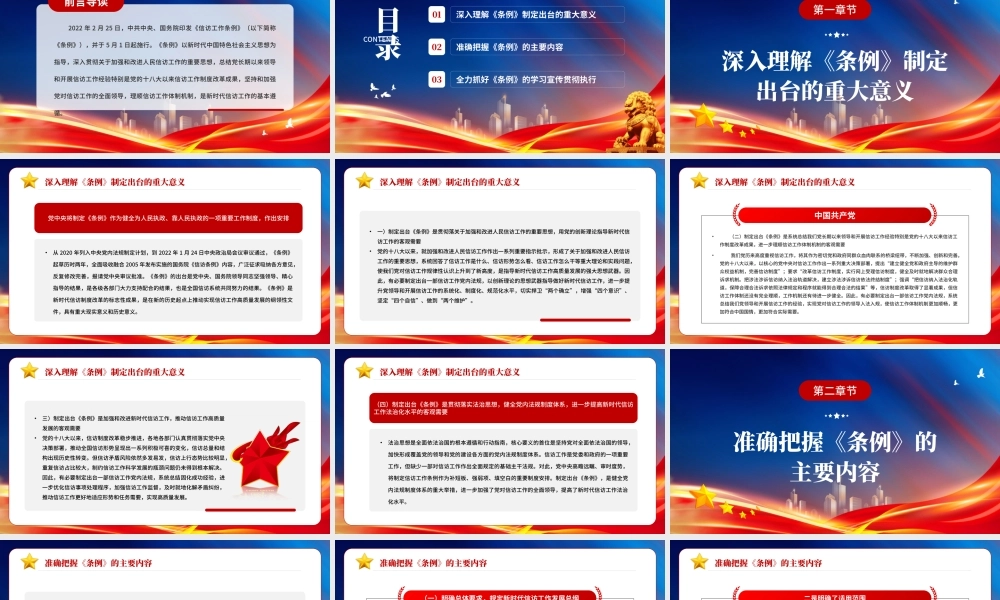 深入学习贯彻《信访工作条例》推动新时代信访工作高质量发展PPT.pptx
