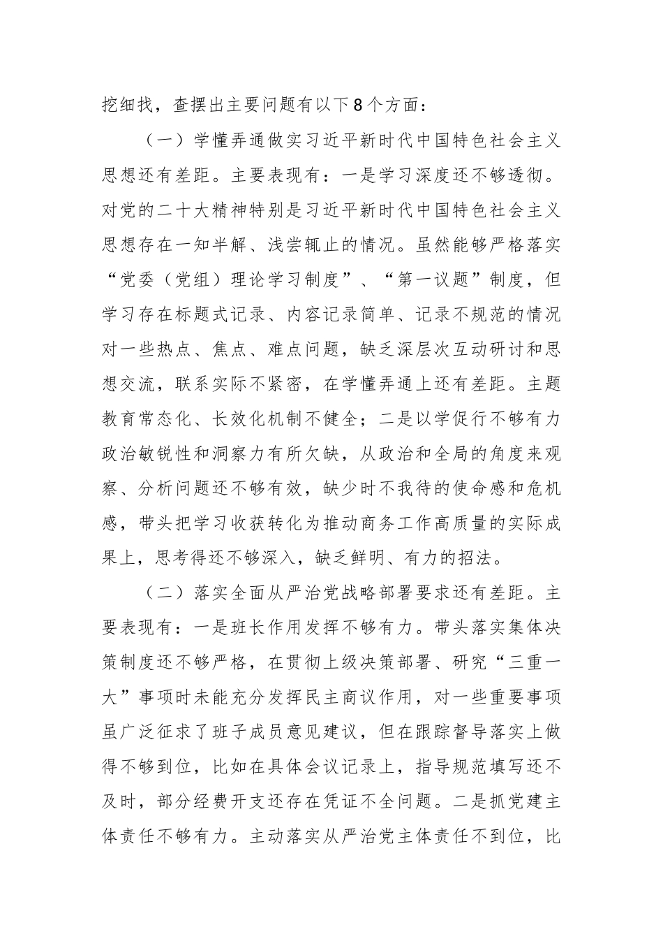 巡视整改专题民主生活会班子对照检查材料.docx_第2页