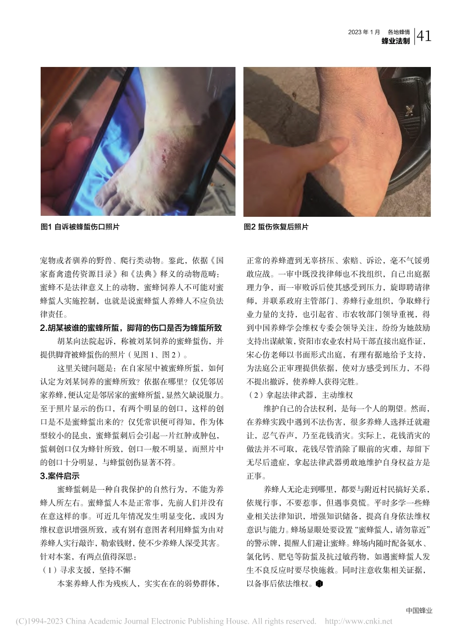 蜜蜂蜇人纠纷案分析与思考_宋杰_.pdf_第2页