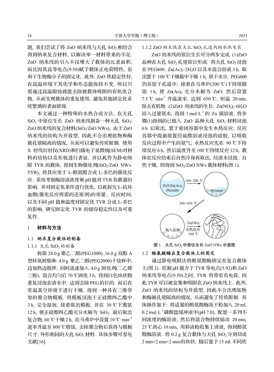 纳米复合载体固定酪氨酸酶合成左旋多巴_汪定林.pdf_第2页