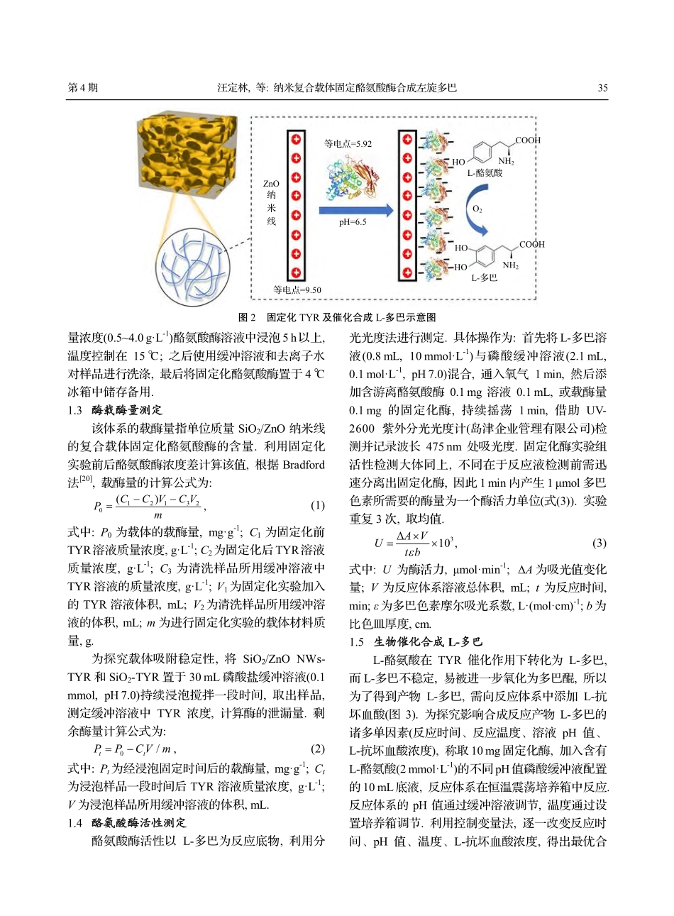 纳米复合载体固定酪氨酸酶合成左旋多巴_汪定林.pdf_第3页