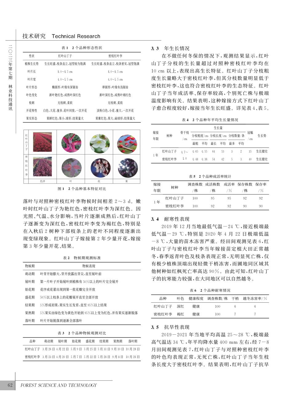 大同地区红叶山丁子高位嫁接快繁技术试验及园林应用_刘文丽.pdf_第2页