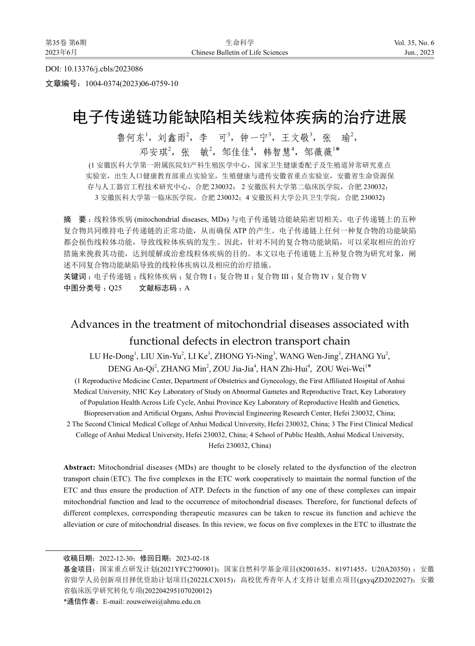 电子传递链功能缺陷相关线粒体疾病的治疗进展_鲁何东.pdf_第1页