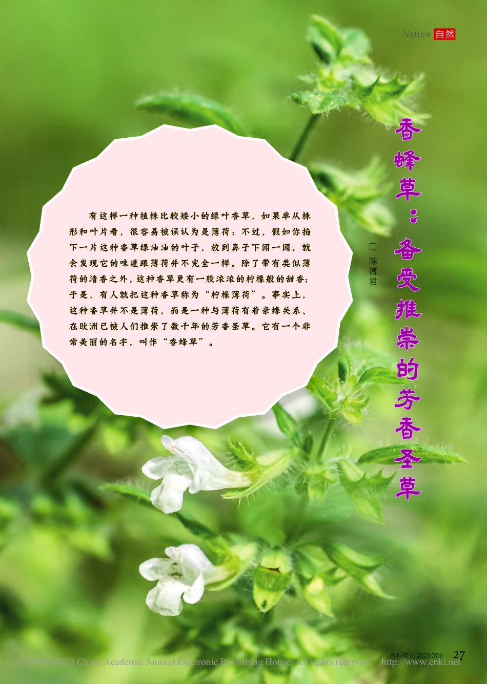 27-33 香蜂草_备受推崇的芳香圣草.pdf_第1页