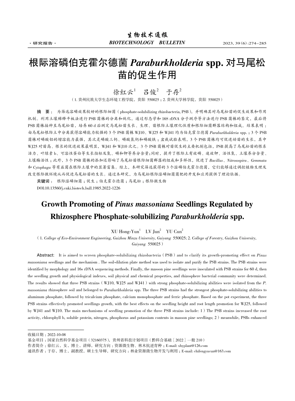 根际溶磷伯克霍尔德菌Par...pp.对马尾松苗的促生作用_徐红云.pdf_第1页