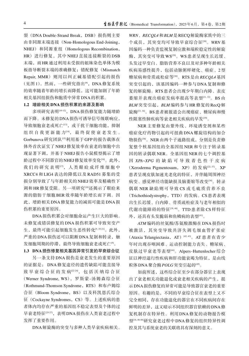 靶向DNA损伤修复延缓衰老的研究进展_张伟娜_.pdf_第3页