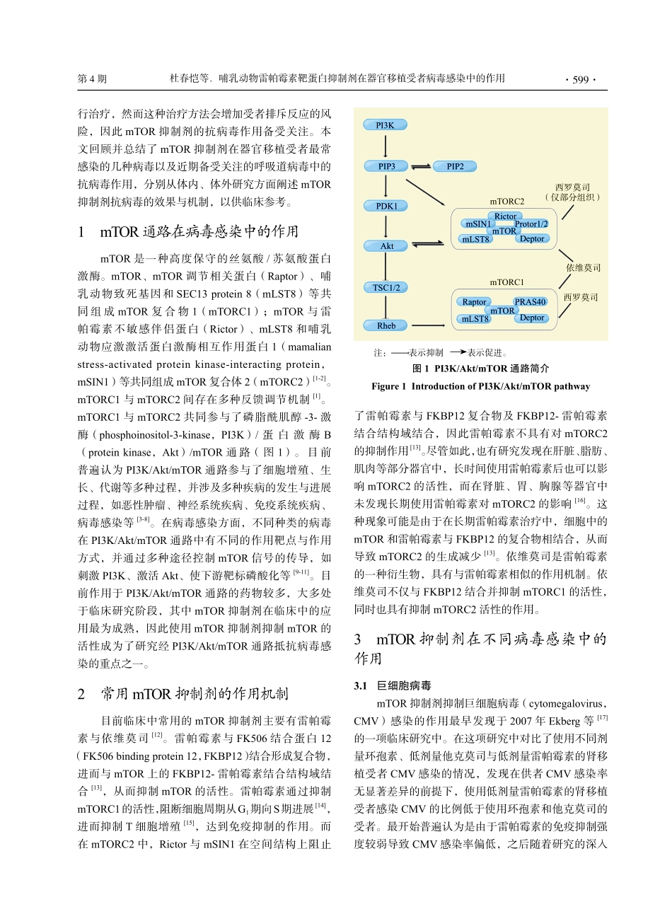 哺乳动物雷帕霉素靶蛋白抑制...官移植受者病毒感染中的作用_杜春恺.pdf_第2页