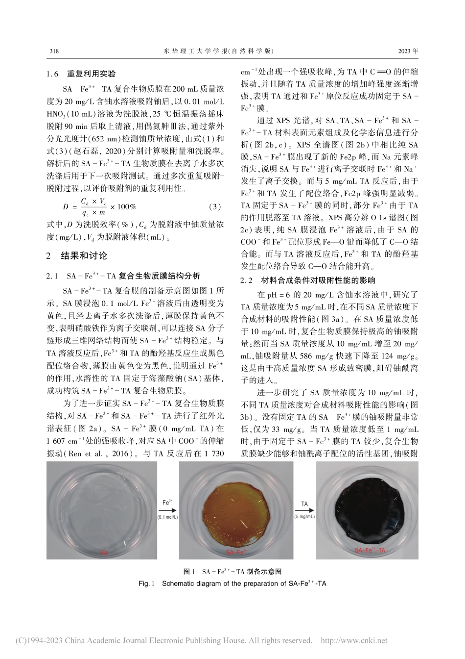 海藻酸钠固定单宁酸生物质膜的制备及其对铀吸附行为研究_付映文.pdf_第3页