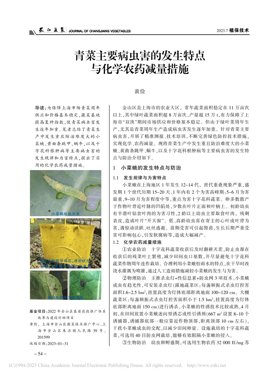 青菜主要病虫害的发生特点与化学农药减量措施_黄俭.pdf_第1页