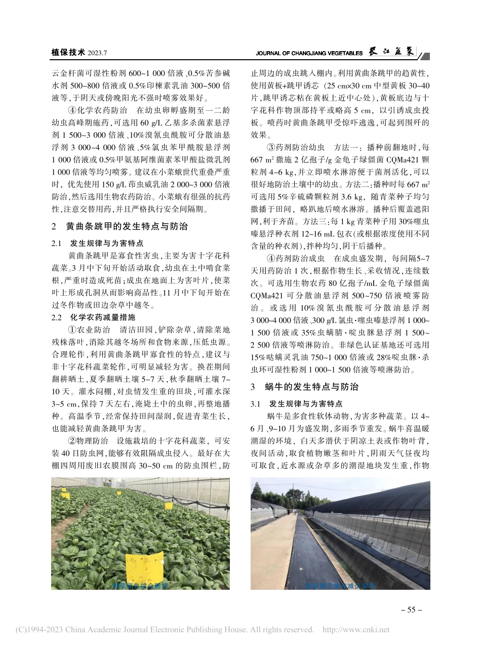 青菜主要病虫害的发生特点与化学农药减量措施_黄俭.pdf_第2页