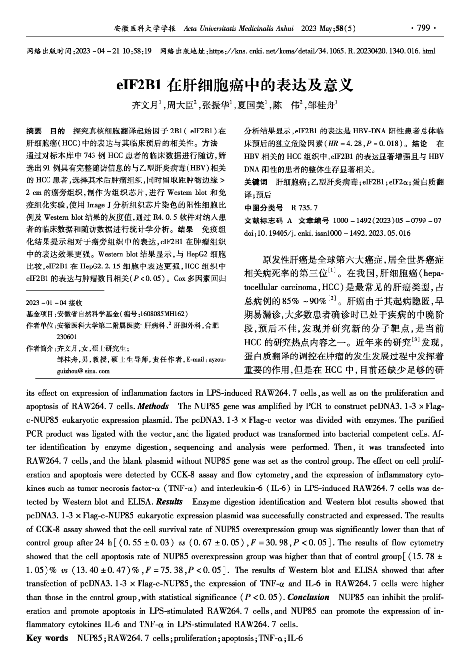 eIF2B1在肝细胞癌中的表达及意义.pdf_第1页