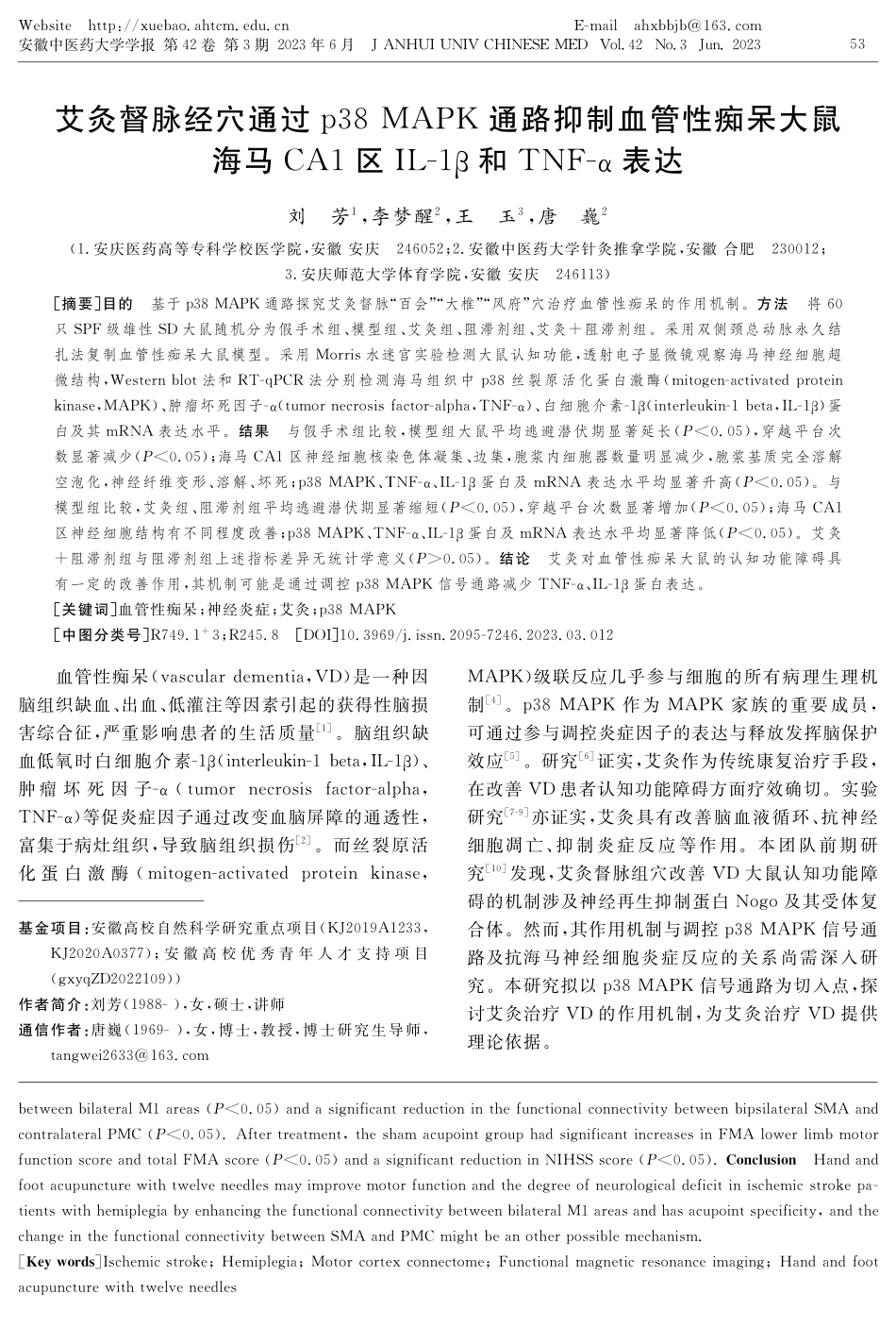 艾灸督脉经穴通过p38 MAPK通路抑制血管性痴呆大鼠海马CA1区IL-1β和TNF-α表达.pdf_第1页