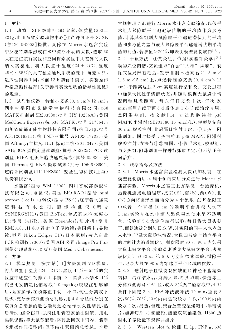 艾灸督脉经穴通过p38 MAPK通路抑制血管性痴呆大鼠海马CA1区IL-1β和TNF-α表达.pdf_第2页