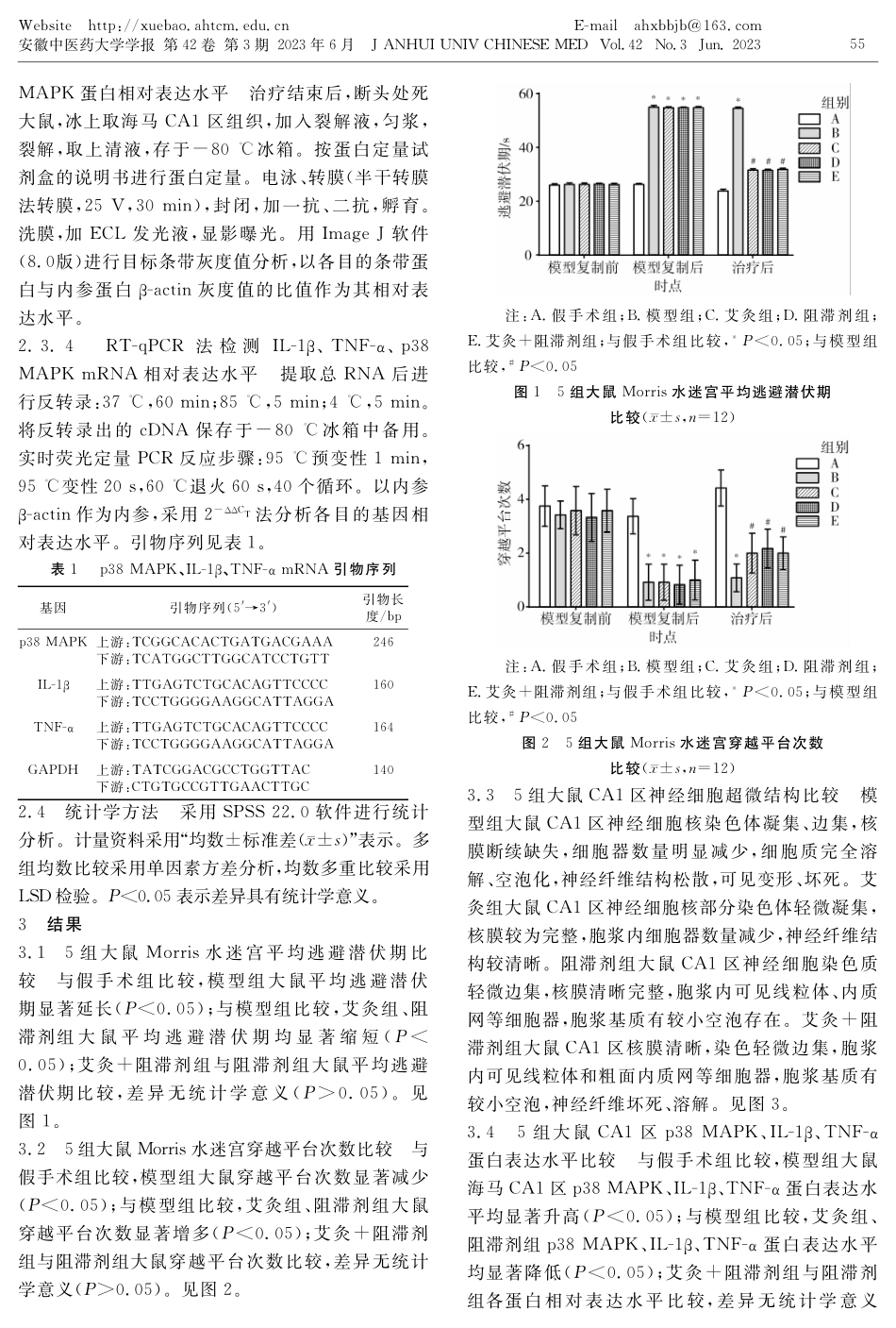 艾灸督脉经穴通过p38 MAPK通路抑制血管性痴呆大鼠海马CA1区IL-1β和TNF-α表达.pdf_第3页