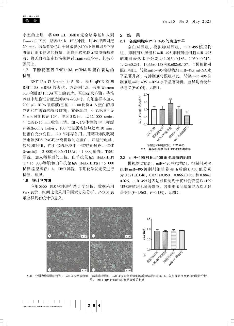 miR-495通过抑制RNF113A的表达调控食管鳞癌细胞恶性表型.pdf_第3页