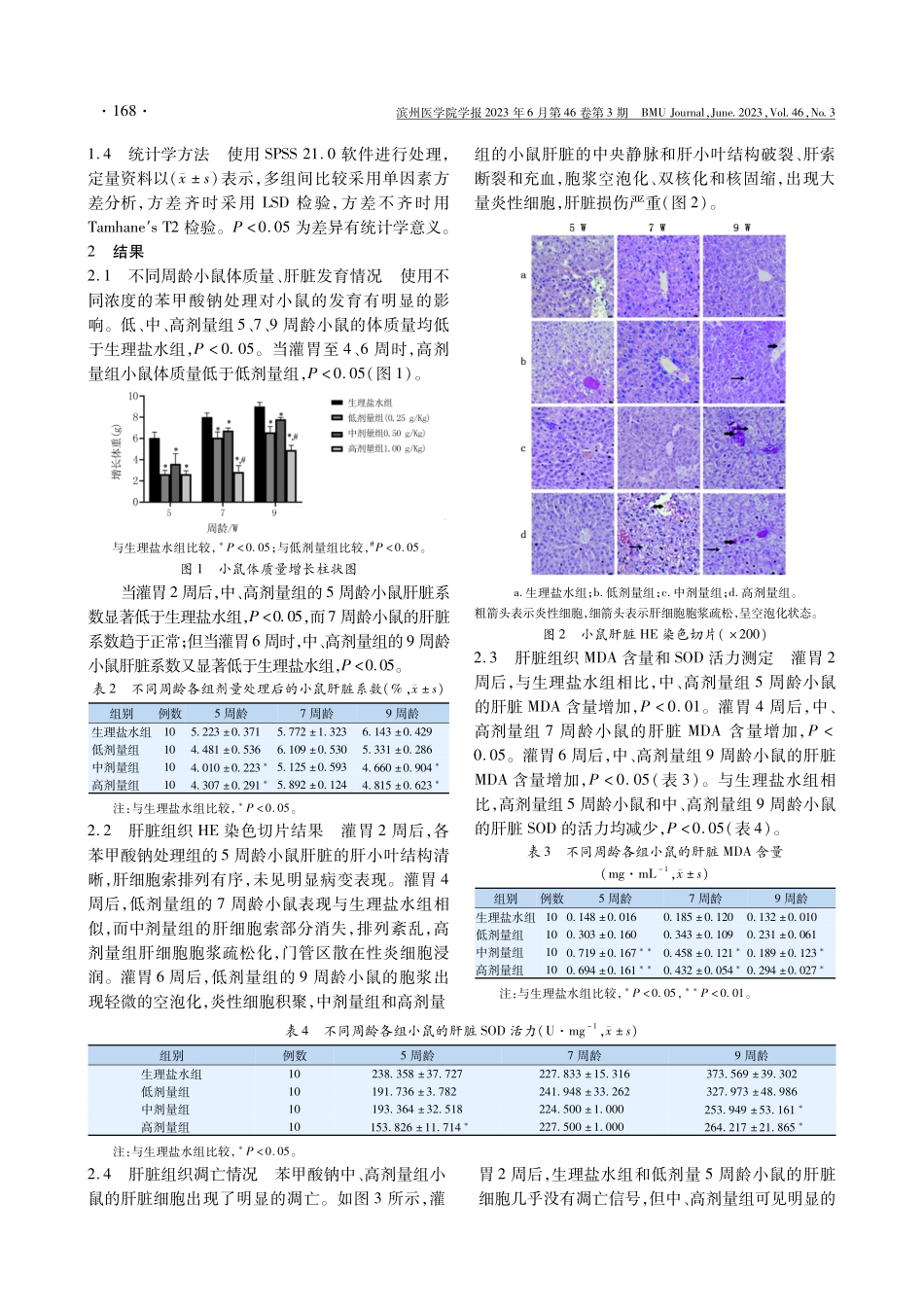 苯甲酸钠对青春期小鼠肝脏的影响.pdf_第3页