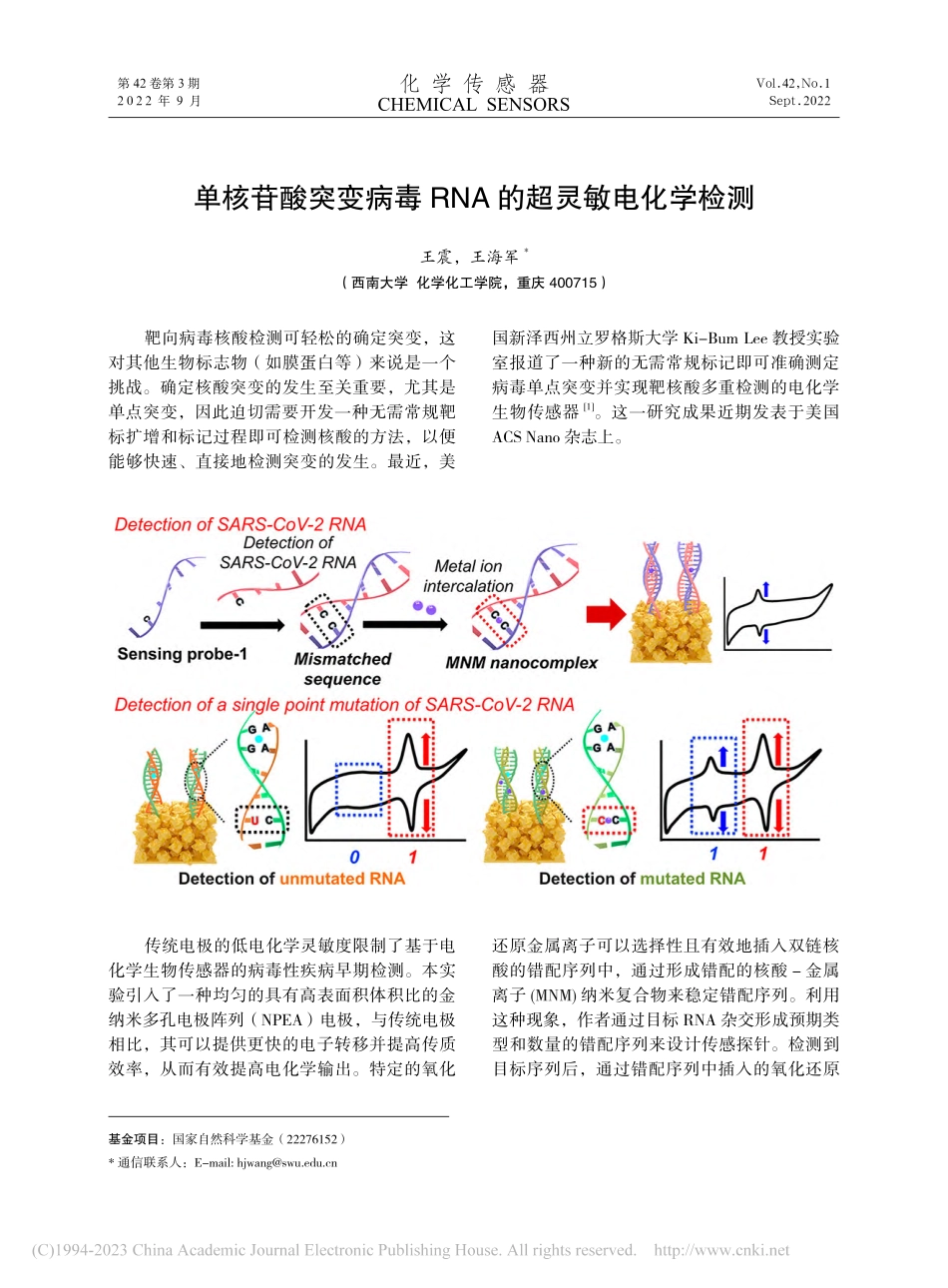 单核苷酸突变病毒RNA的超灵敏电化学检测_王震.pdf_第1页