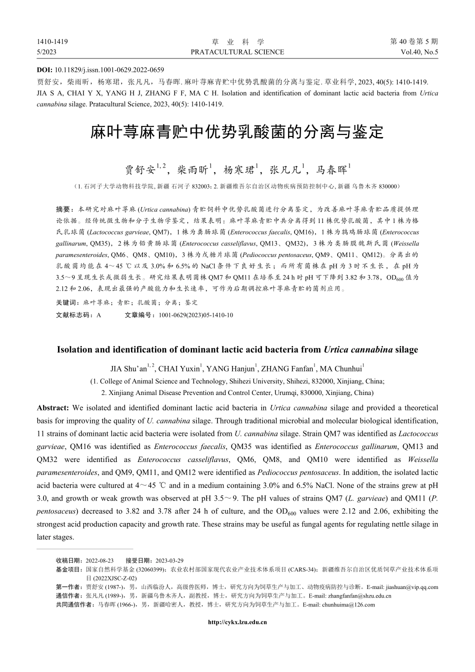 麻叶荨麻青贮中优势乳酸菌的分离与鉴定.pdf_第1页