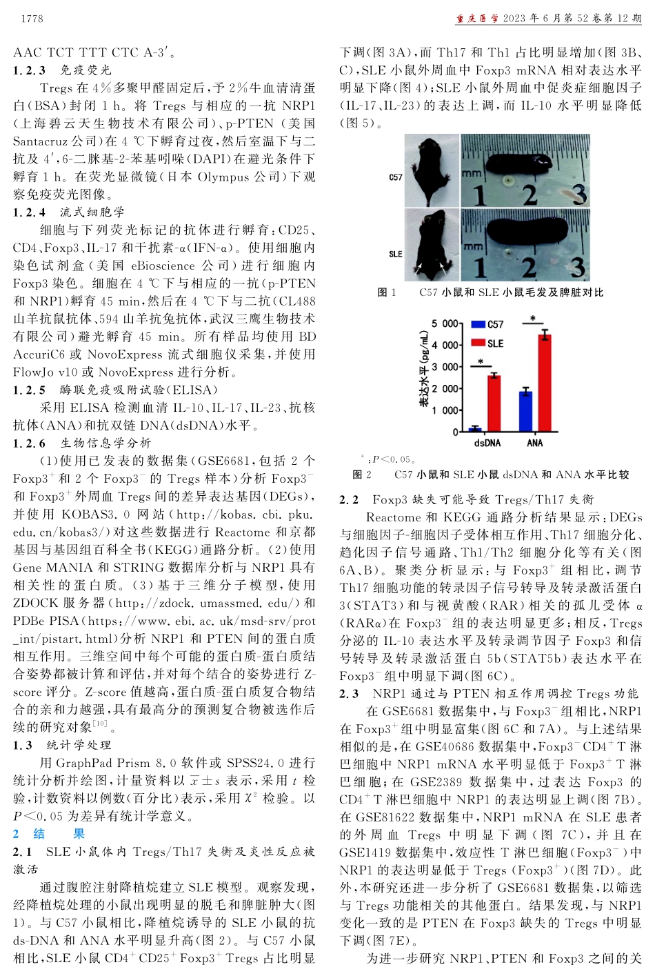 青蒿素调节Tregs中NRP1_PTEN_Foxp3信号通路减轻系统性红斑狼疮小鼠炎性反应的研究.pdf_第3页