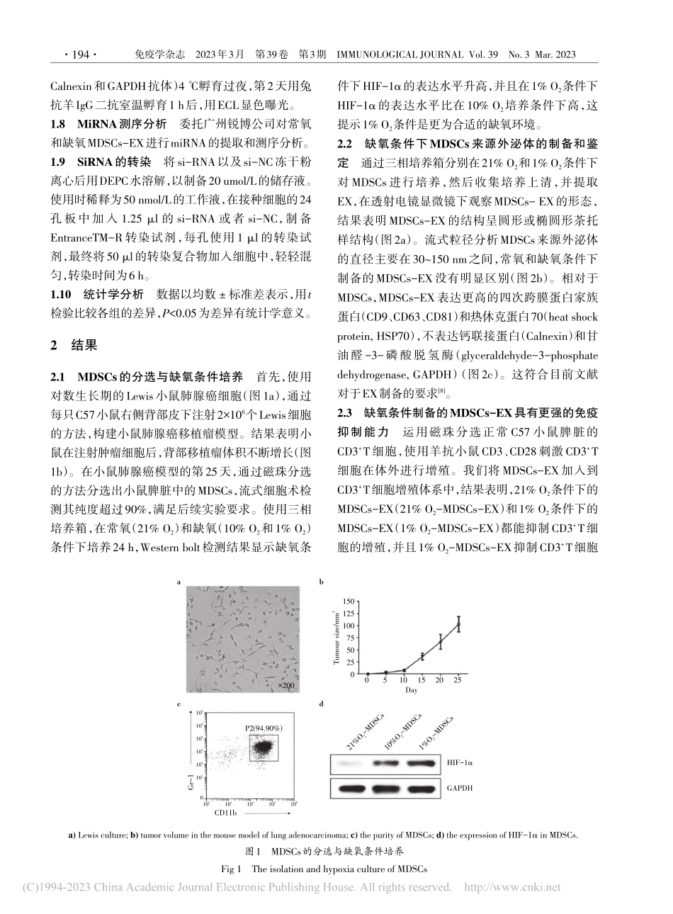 缺氧调节肺腺癌小鼠MDSC...miRNA及其免疫抑制功能_郑玉涛.pdf_第3页