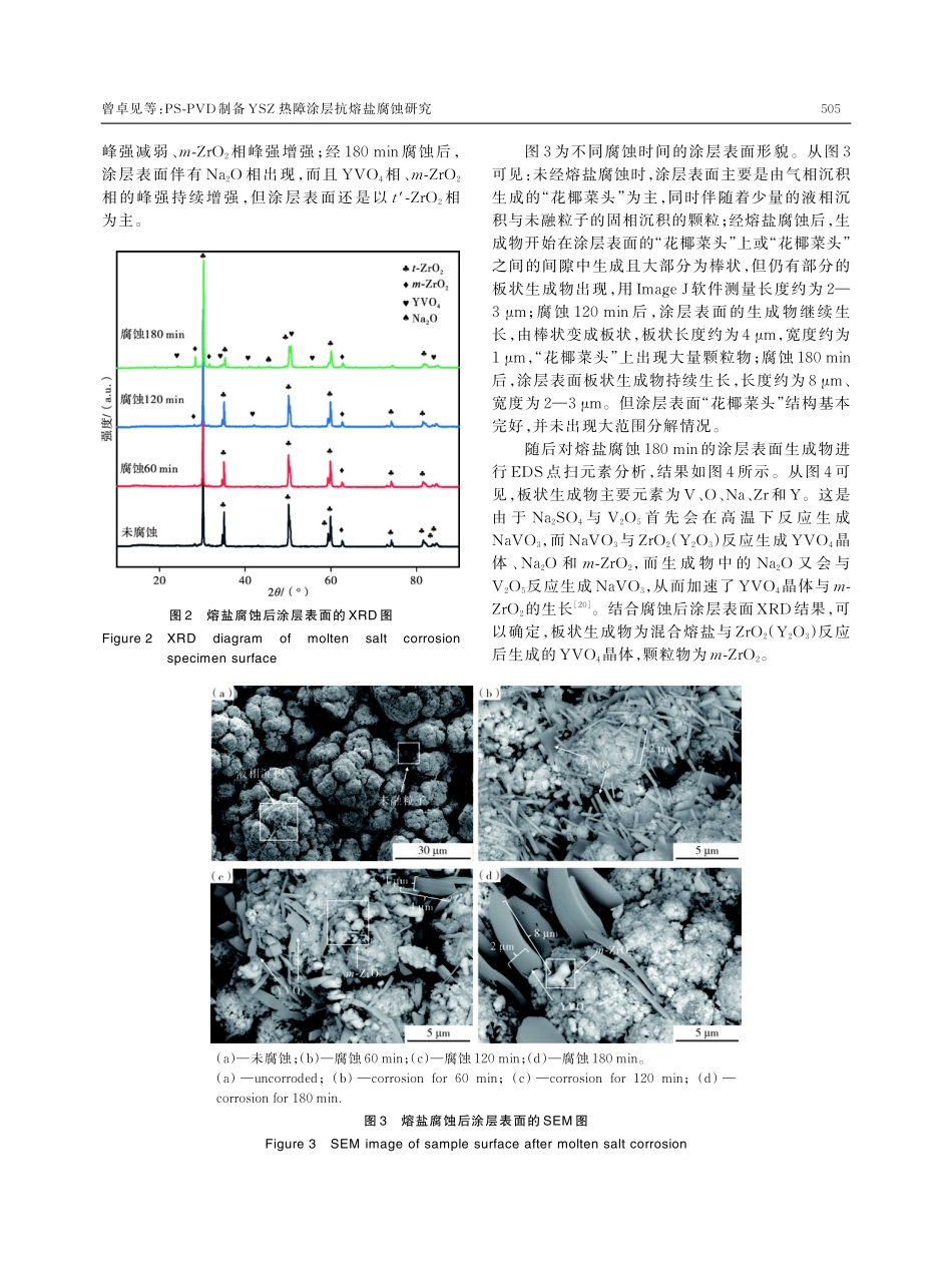 PS-PVD制备YSZ热障涂层抗熔盐腐蚀研究.pdf_第3页
