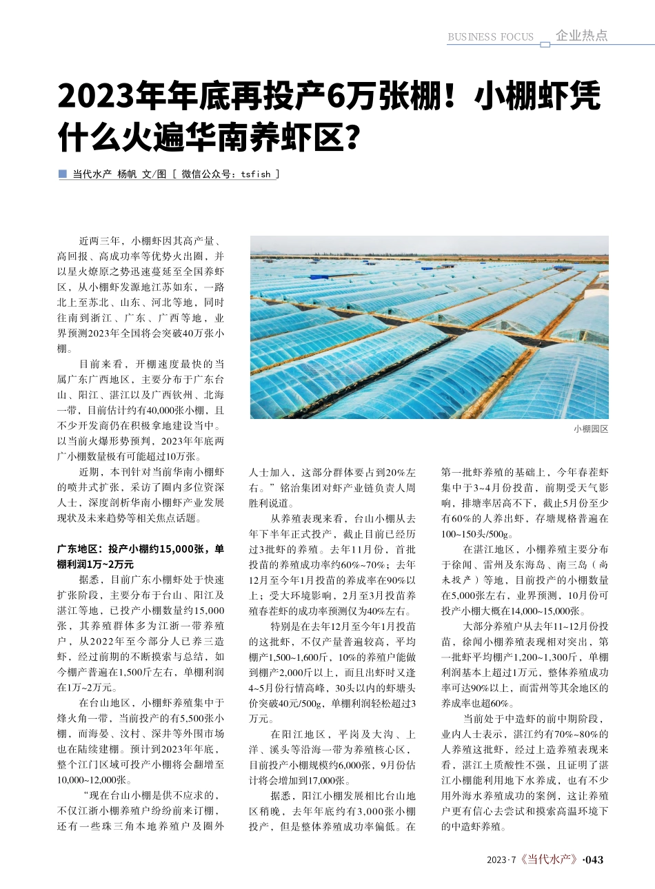 2023年年底再投产6万张...棚虾凭什么火遍华南养虾区？_杨帆.pdf_第1页