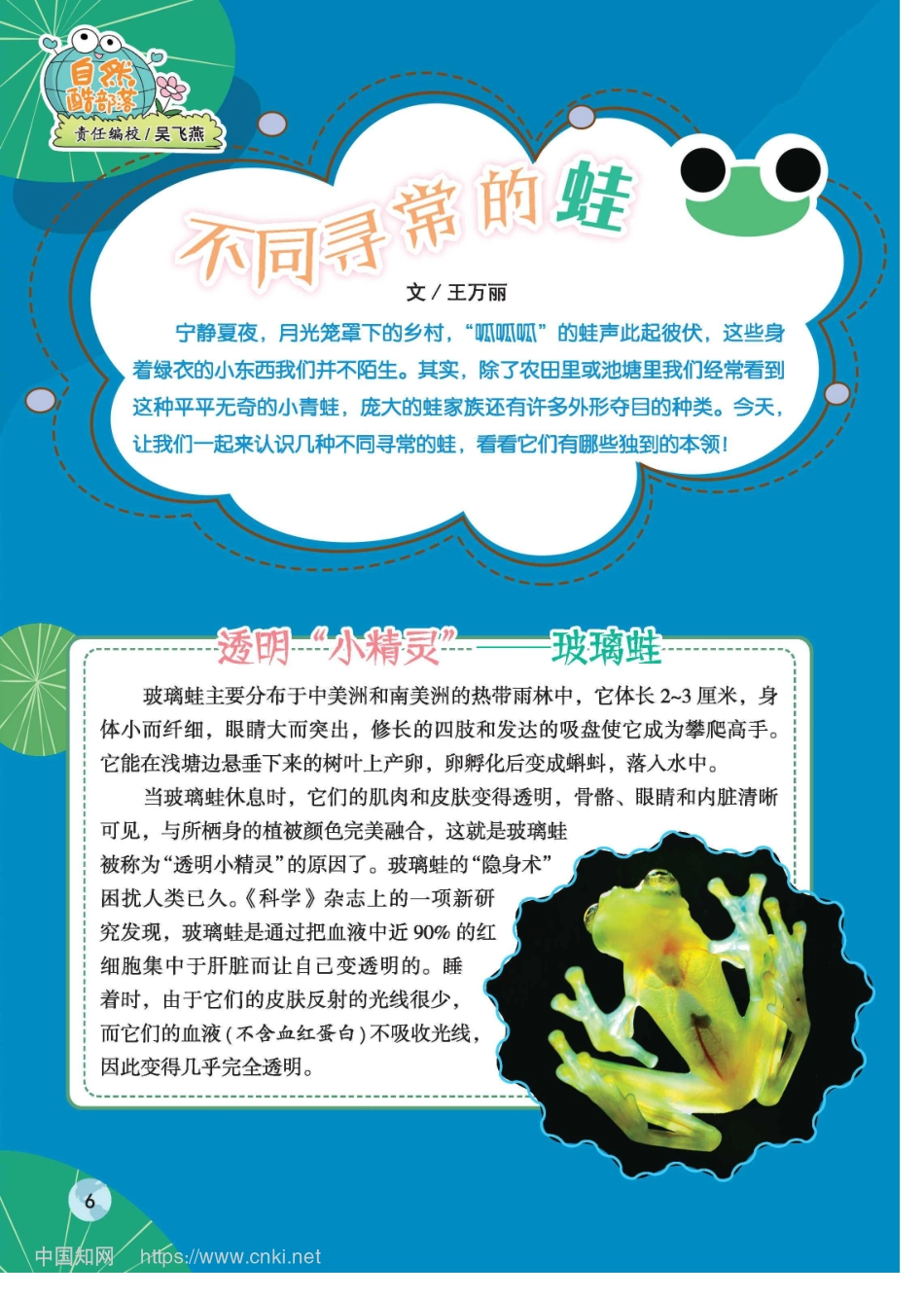 不同寻常的蛙_王万丽.pdf_第1页