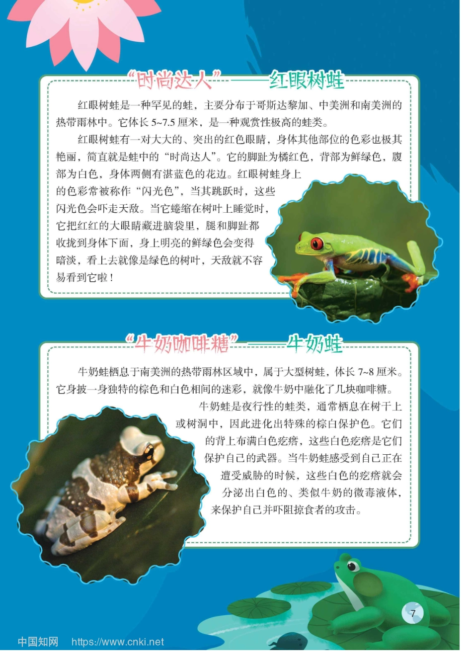 不同寻常的蛙_王万丽.pdf_第2页