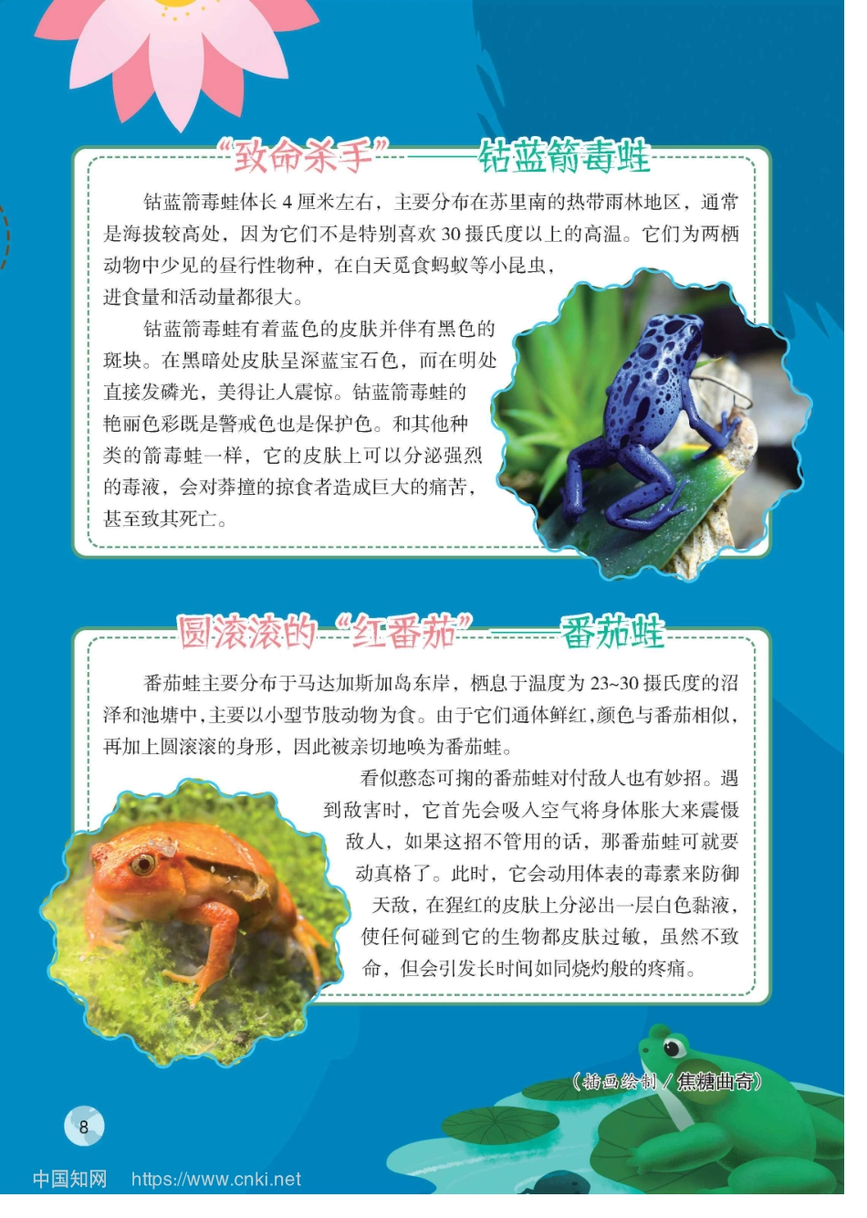 不同寻常的蛙_王万丽.pdf_第3页