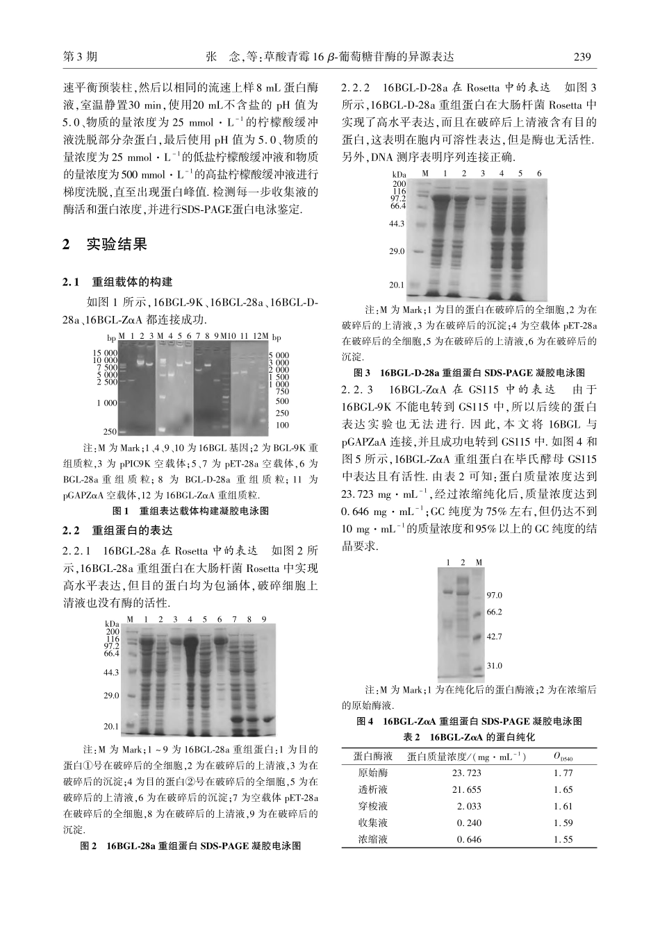 草酸青霉16β-葡萄糖苷酶的异源表达_张念.pdf_第3页