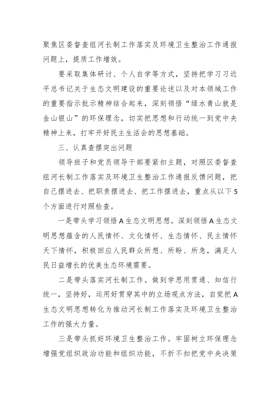 2023年镇党委领导班子河长制工作落实及环境卫生整治工作专题民主生活会.docx_第2页