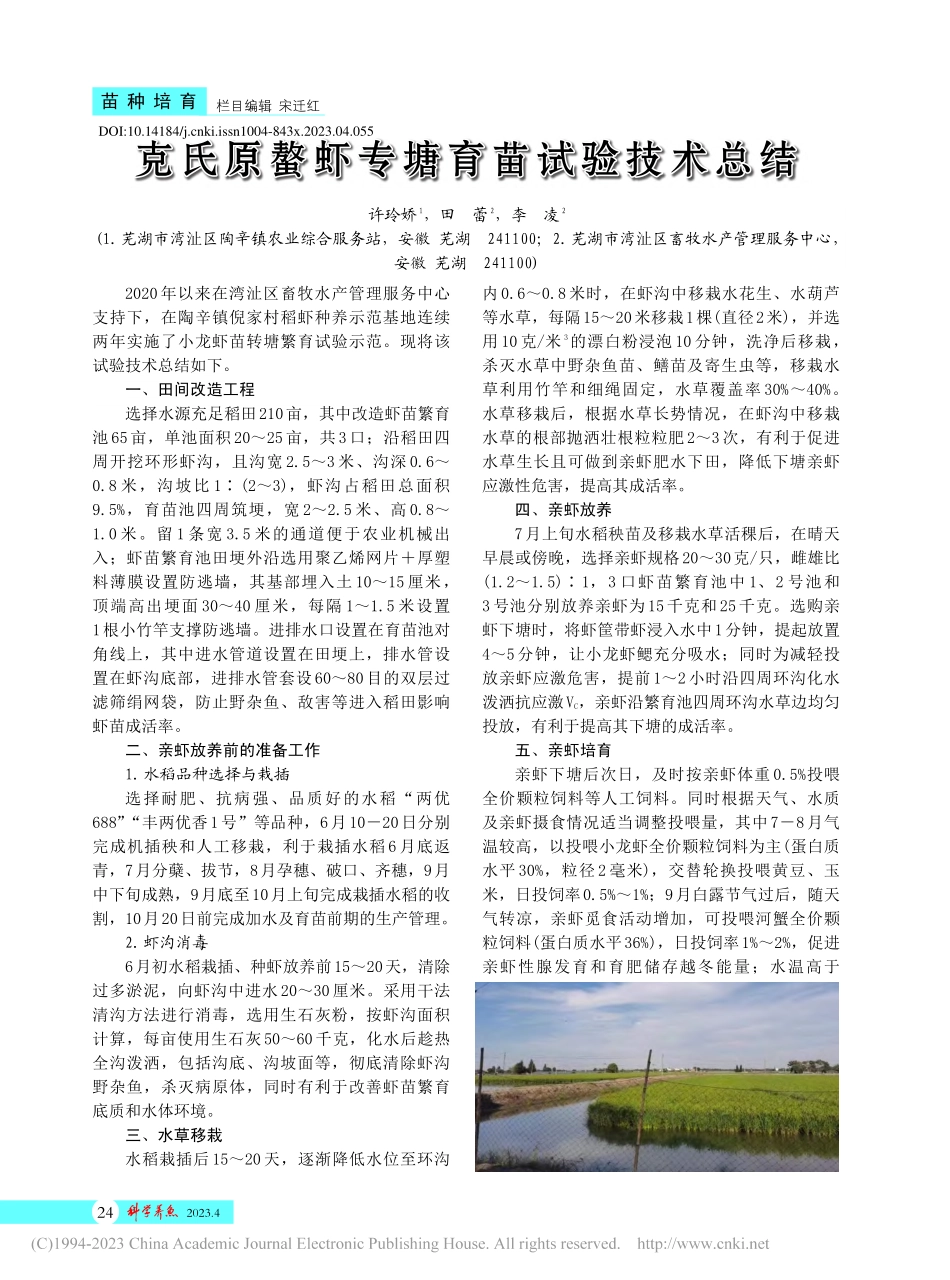 克氏原螯虾专塘育苗试验技术总结_许玲娇.pdf_第1页