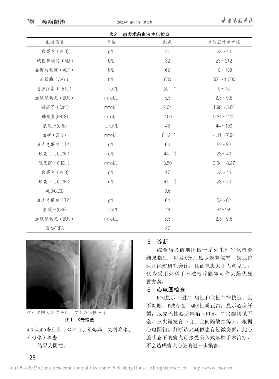 一例博美犬单侧隐睾症的诊断与治疗_赵俊皓.pdf_第3页