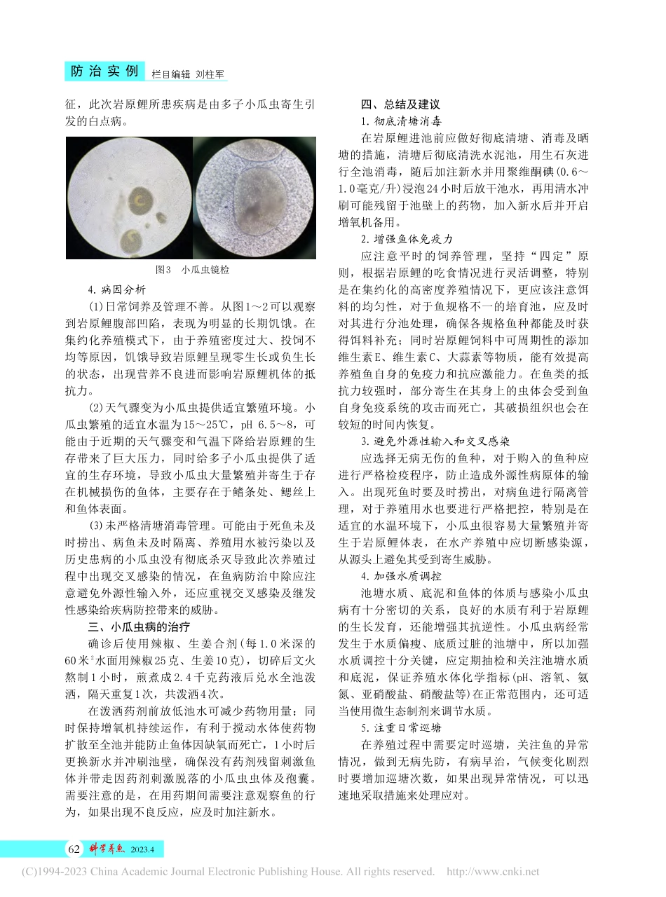 一例岩原鲤小瓜虫病的诊治_贺蝶.pdf_第2页