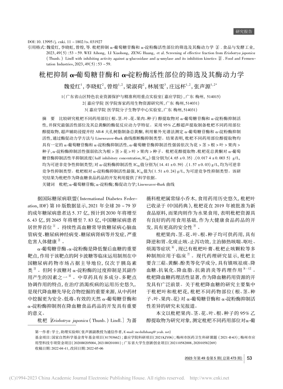 枇杷抑制α-葡萄糖苷酶和α...活性部位的筛选及其酶动力学_魏爱红.pdf_第1页