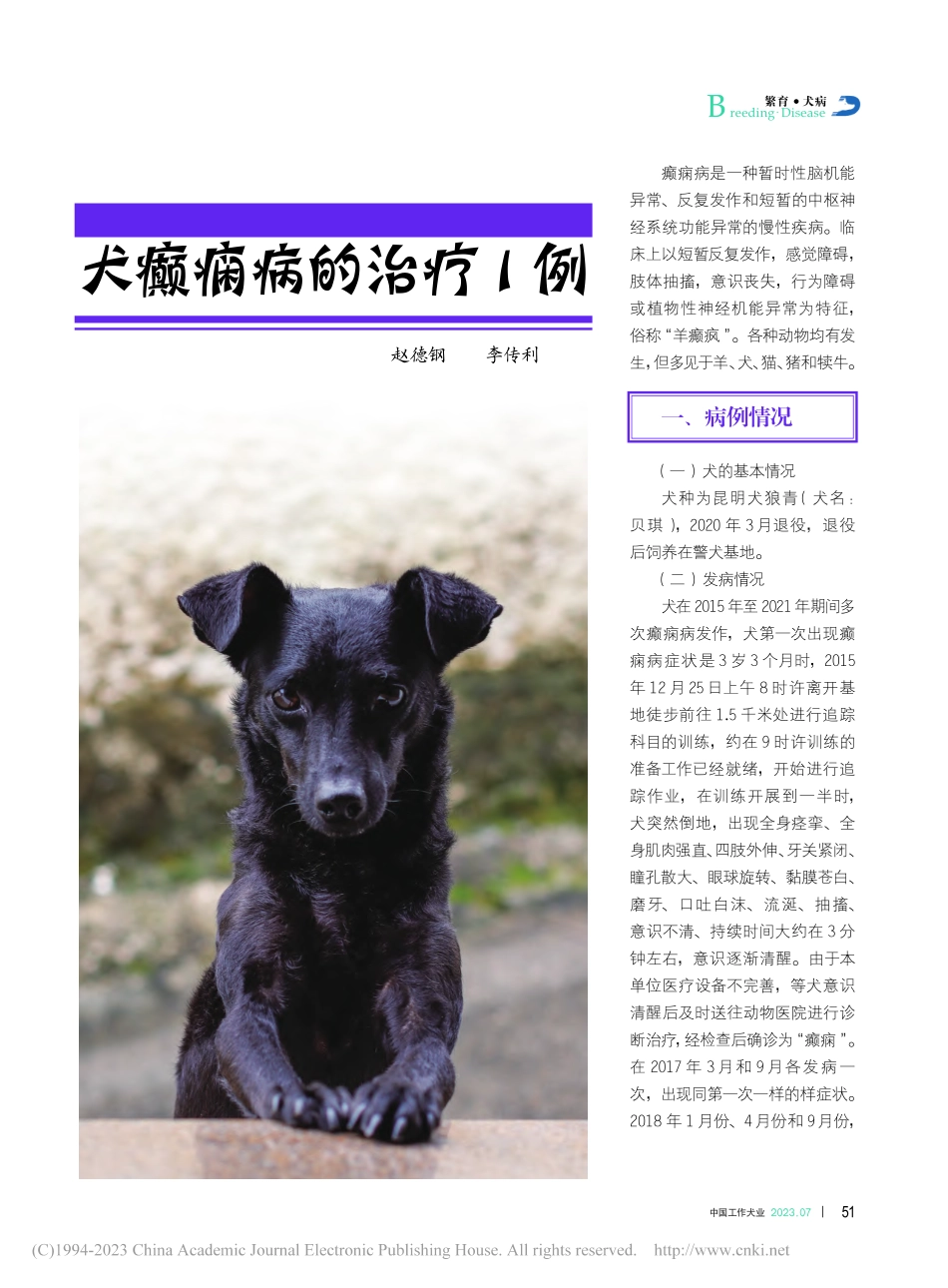犬癫痫病的治疗1例_赵德钢.pdf_第1页