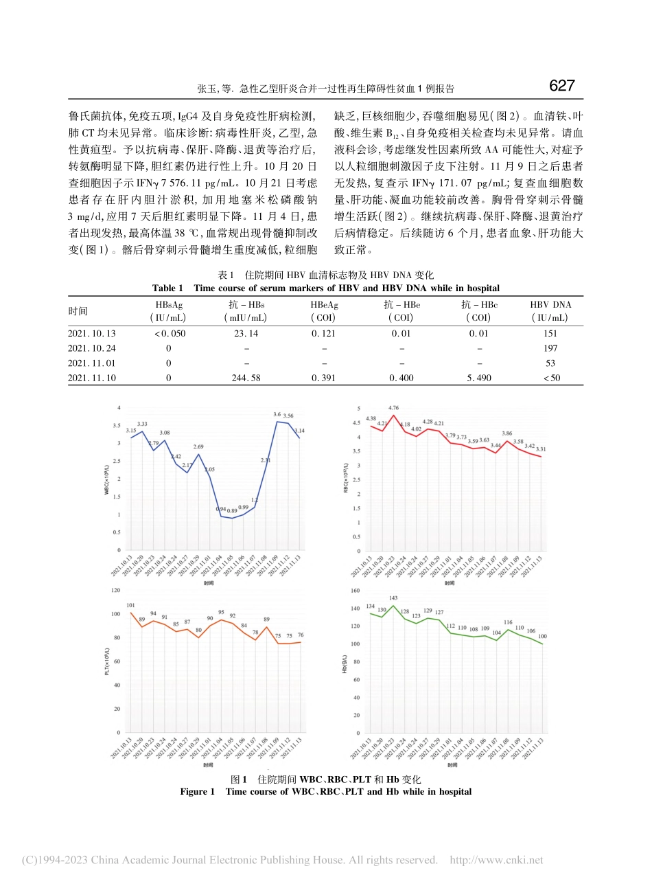 急性乙型肝炎合并一过性再生障碍性贫血1例报告_张玉.pdf_第2页