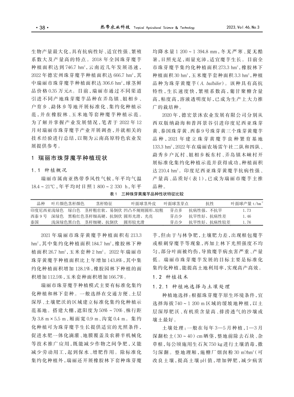 瑞丽市珠芽魔芋种植现状与建议_高燕.pdf_第2页